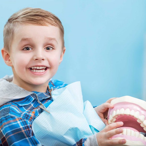 Smiling boy with dental model at dentist visit.
